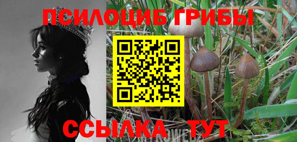 Галлюциногенные грибы Magic Shrooms  Вход с VPN  Большой Камень 