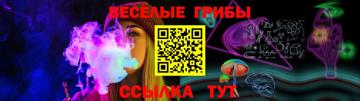 Псилоцибиновые грибы GOLDEN TEACHER Большой Камень